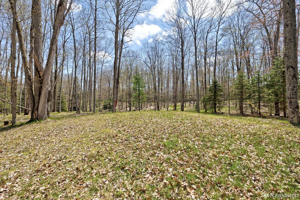 3510 Mc Collum Lake Road Curran, MI 48728 - Photo 88 of 99