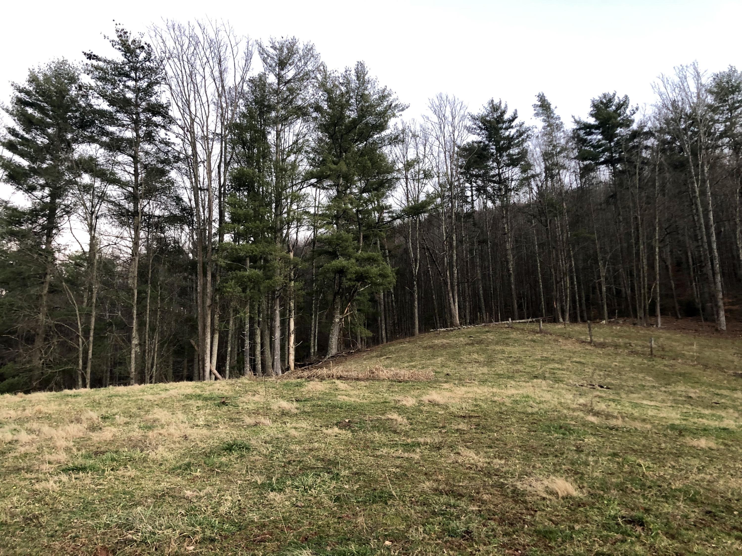 826 Marbleton Road Unicoi, TN 37692 - Photo 27 of 28 D533E6B8-B362-4075-97D2-5CF37CCF3142