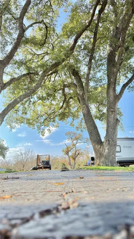 a view of a yard with large trees