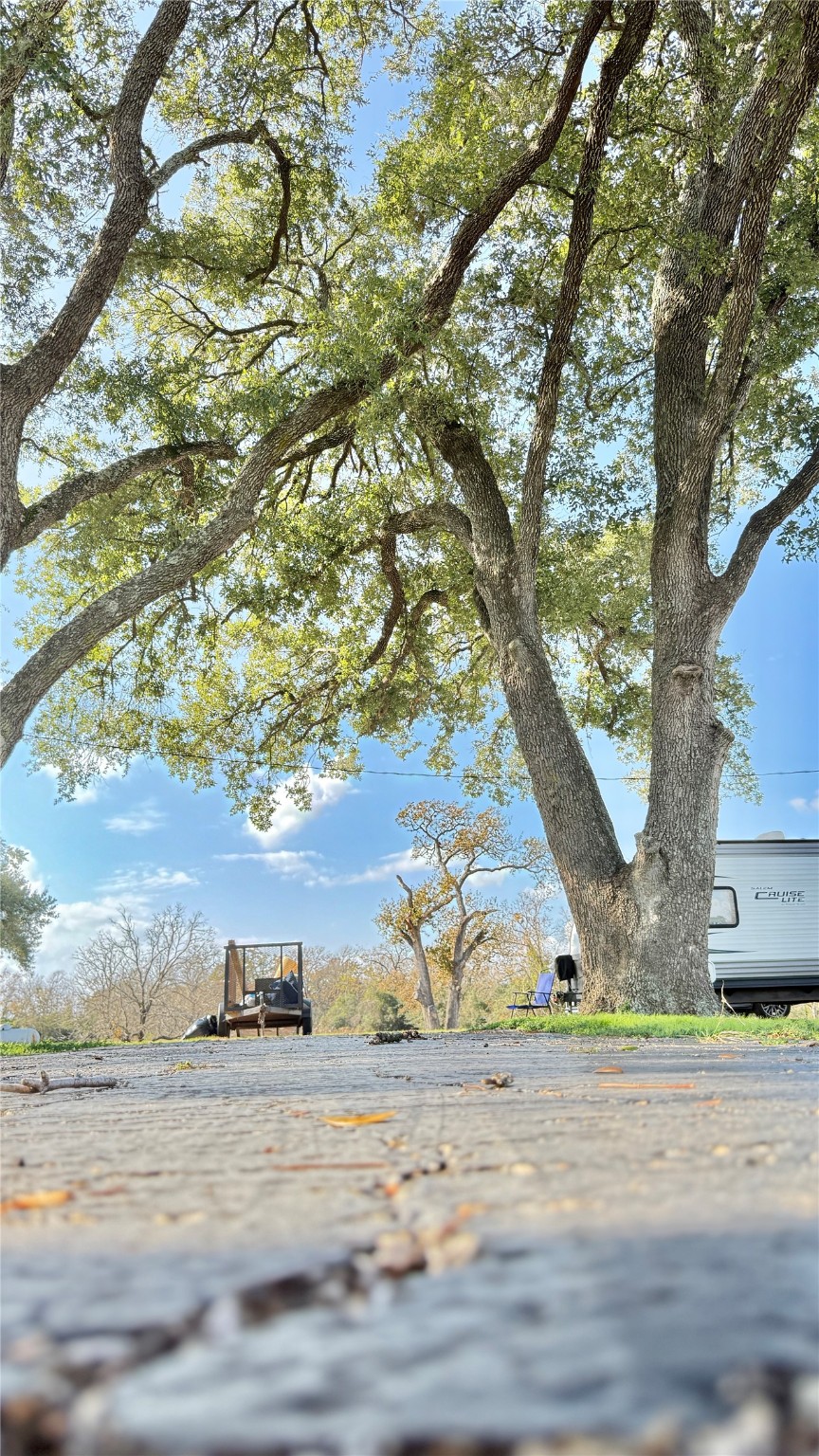 13309 Farm To Market 359 Hempstead, TX 77445 - Photo 7 of 34 a view of a yard with large trees