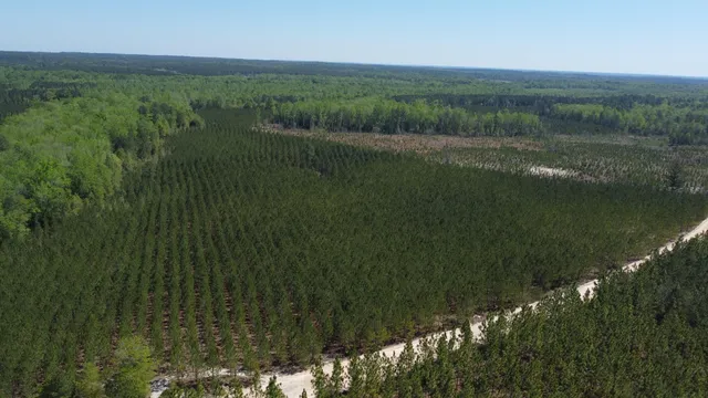 $727,650 | 2919 Porter Road, Cassatt, SC 29032