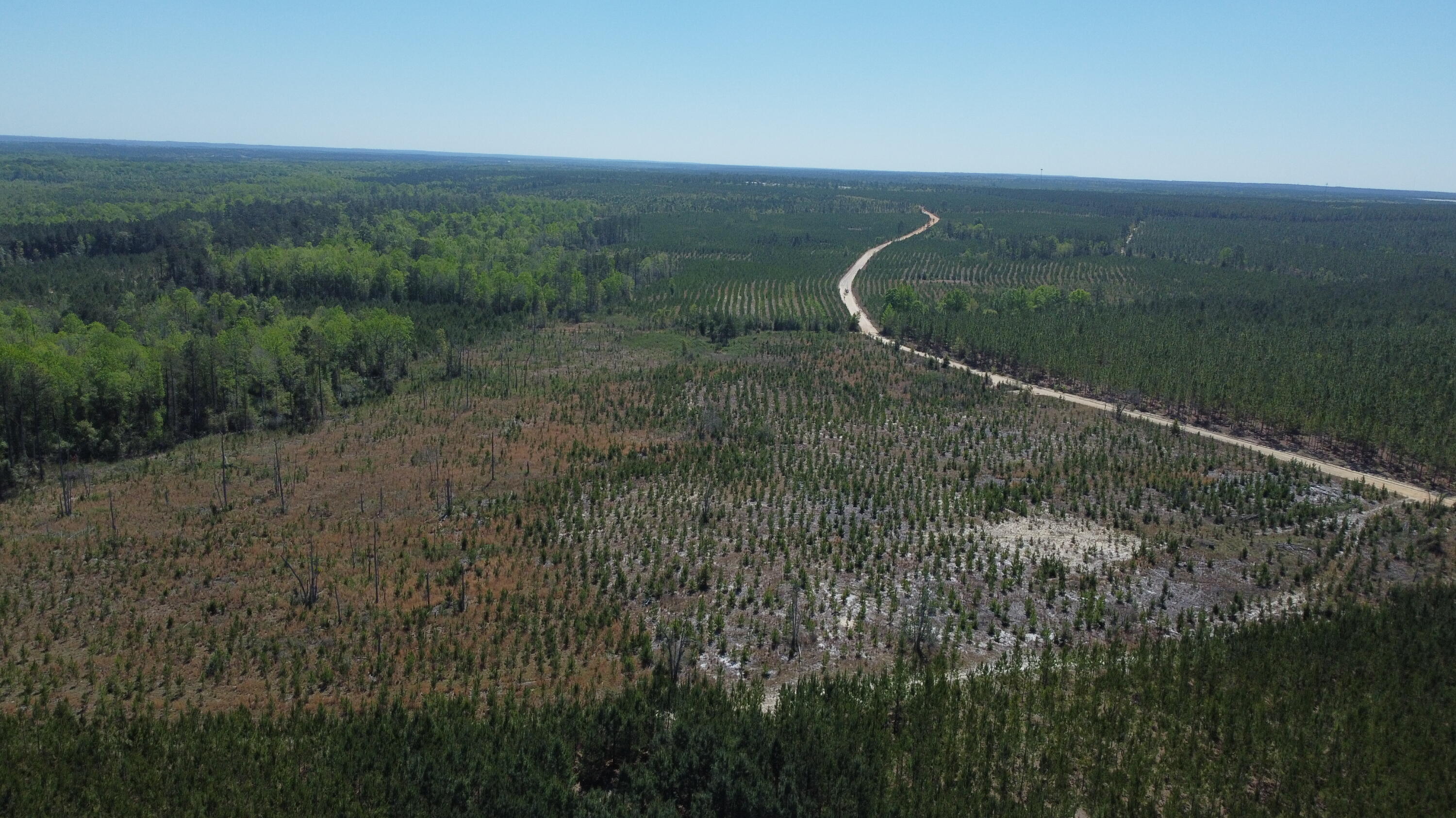 2919 Porter Road Cassatt, SC 29032 - Photo 4 of 8 DJI_0430