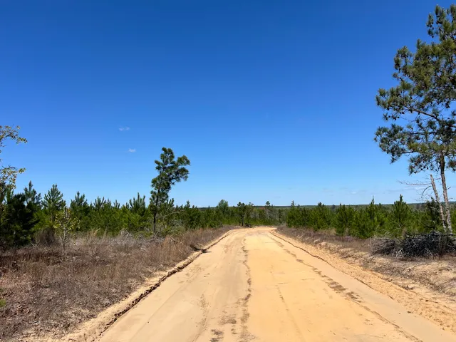 $727,650 | 2919 Porter Road, Cassatt, SC 29032