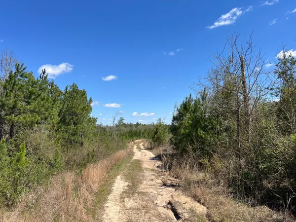 $727,650 | 2919 Porter Road, Cassatt, SC 29032