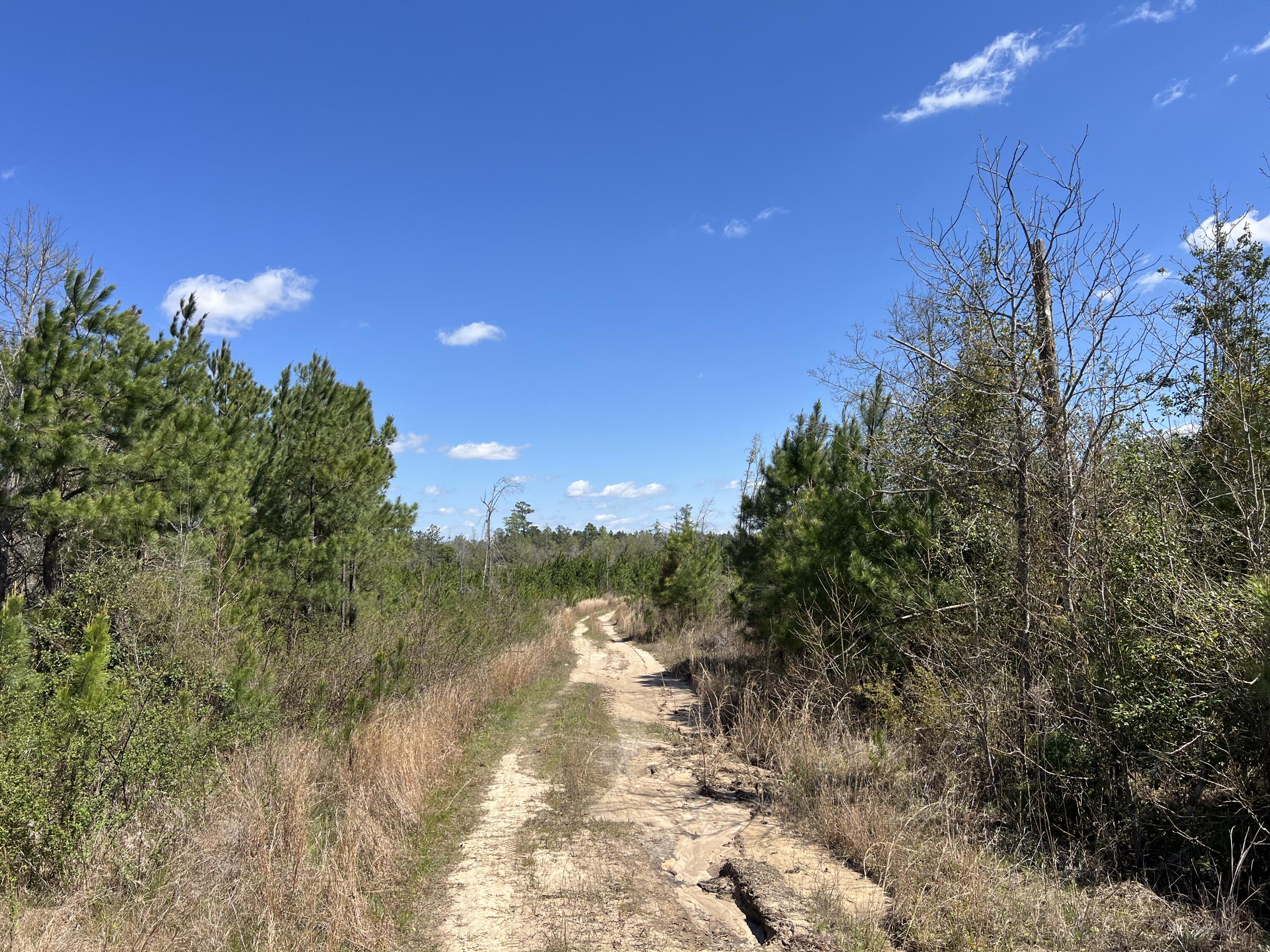 2919 Porter Road Cassatt, SC 29032 - Photo 6 of 8 Photo Apr 12, 11 49 02 AM
