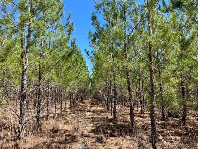 $727,650 | 2919 Porter Road, Cassatt, SC 29032