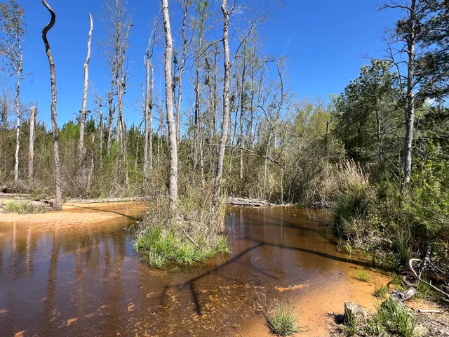 $727,650 | 2919 Porter Road, Cassatt, SC 29032