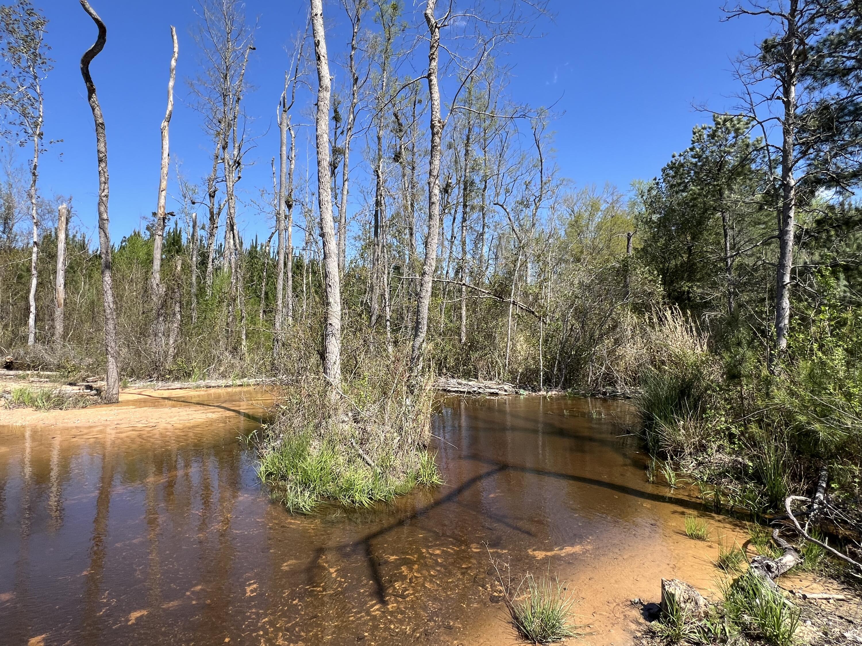2919 Porter Road Cassatt, SC 29032 - Photo 8 of 8 Photo Apr 12, 11 57 26 AM