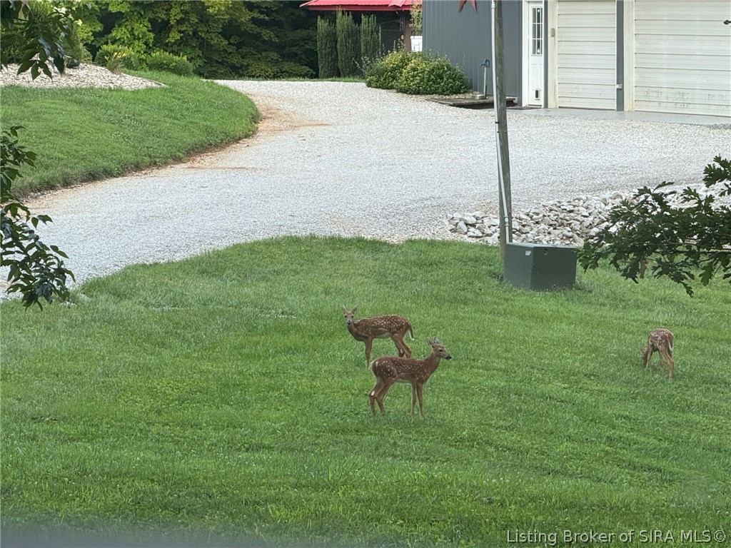13552 Corydon Ramsey Road Northwest Palmyra, IN 47164 - Photo 77 of 83