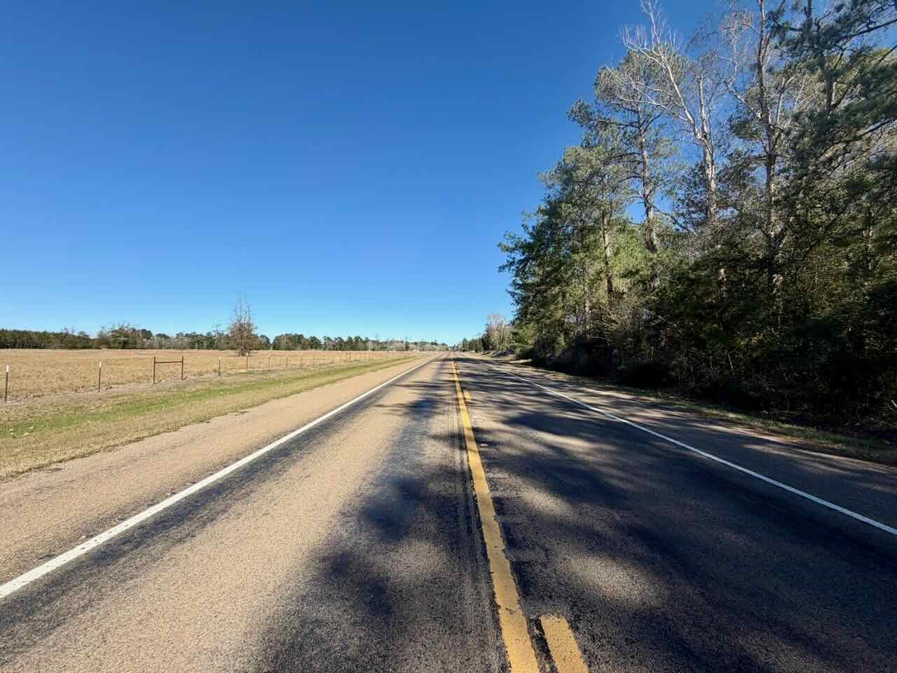 0 Fm 1003 Kountze, TX 77625 - Photo 11 of 15 a view of an outdoor space and lake view