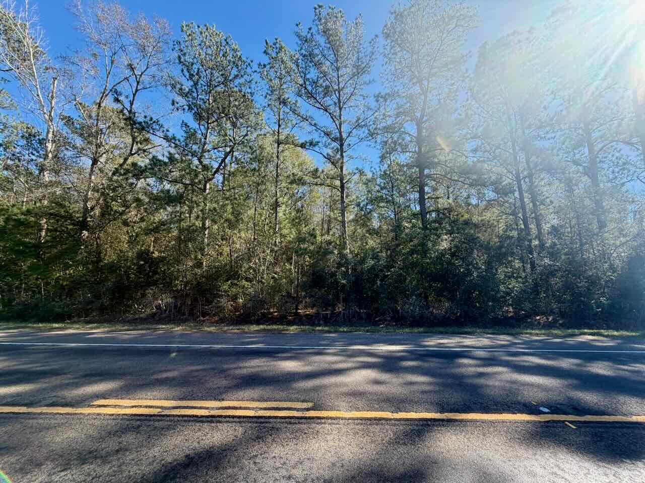 0 Fm 1003 Kountze, TX 77625 - Photo 12 of 15 a view of yard with green space