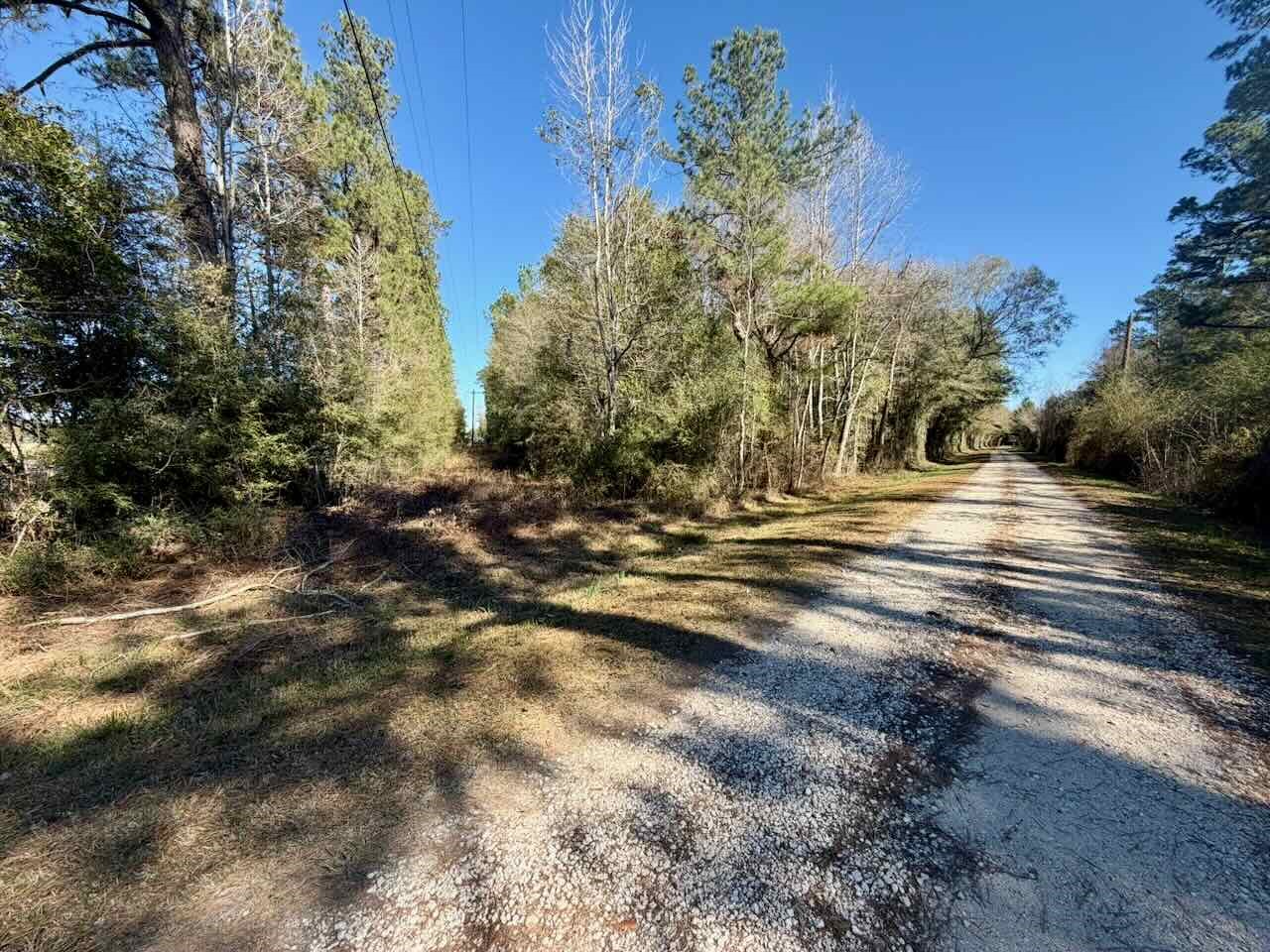 0 Fm 1003 Kountze, TX 77625 - Photo 13 of 15 a view of a house with a yard