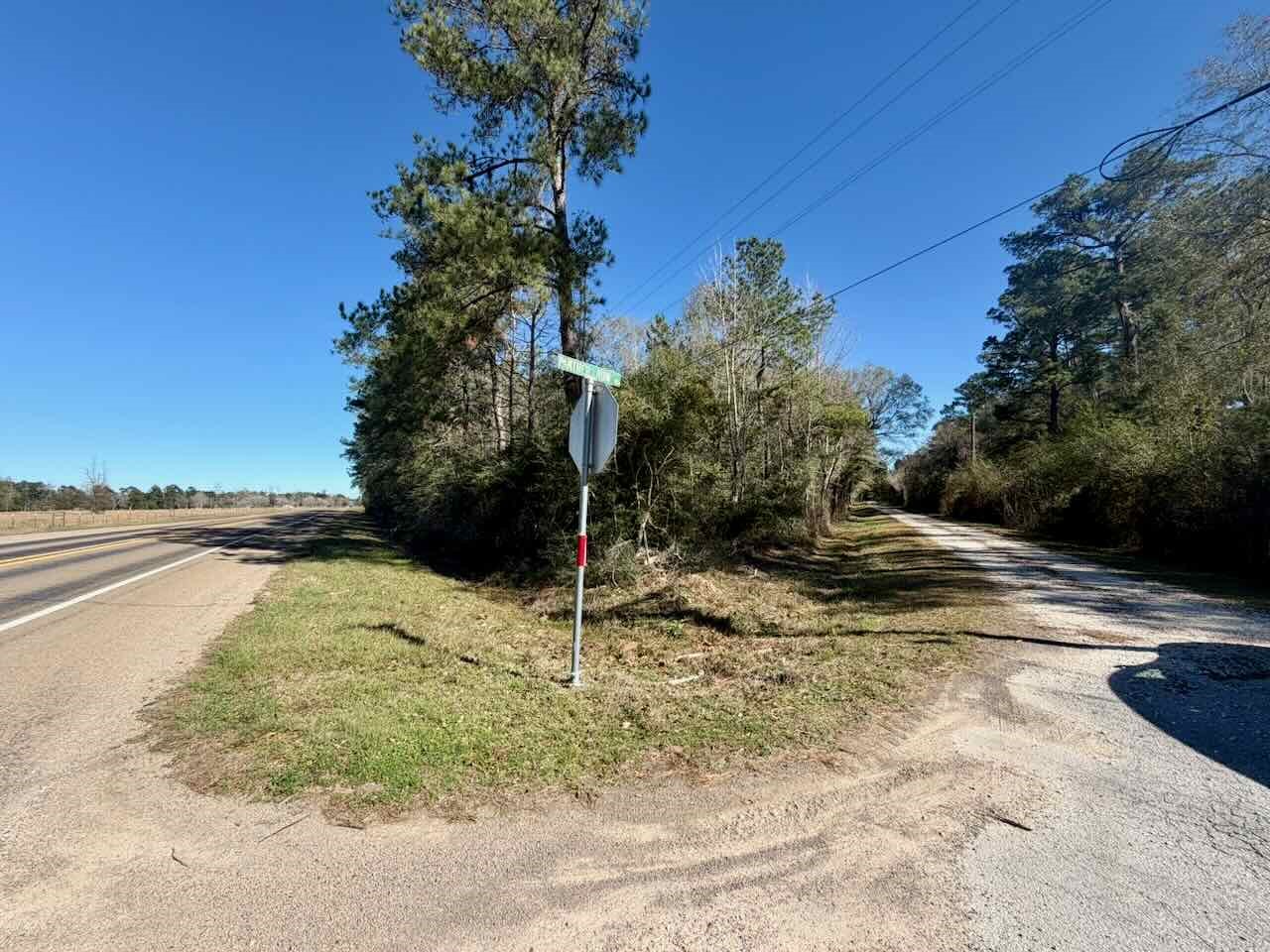 0 Fm 1003 Kountze, TX 77625 - Photo 14 of 15 a view of a yard