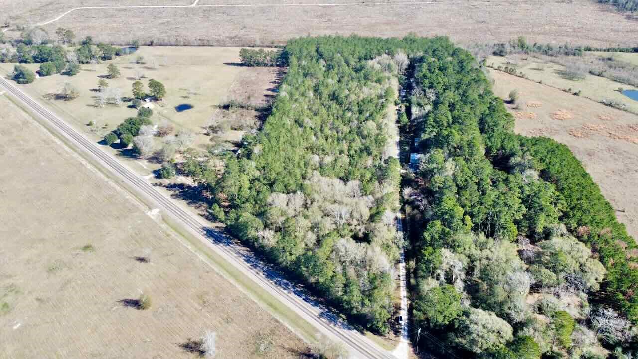 0 Fm 1003 Kountze, TX 77625 - Photo 4 of 15 a view of a garden with a flower pot