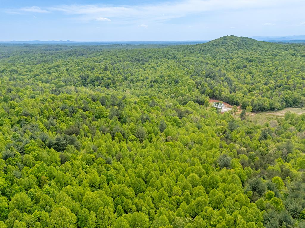 Tbd Ahart Ridge Road, Unit 58 60 61 Ararat, VA 24053 - Photo 19 of 54 Gallery Image 19