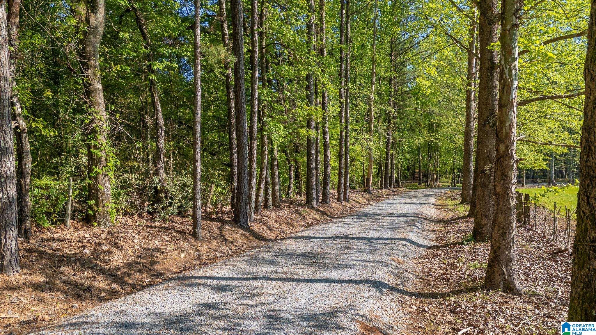 4435 Renfroe Road Talladega, AL 35160 - Photo 95 of 99 Gallery Image 95