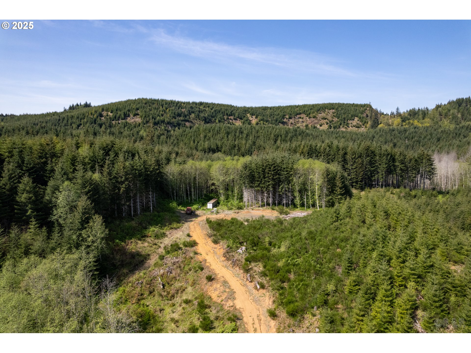 a view of a big yard with a large tree