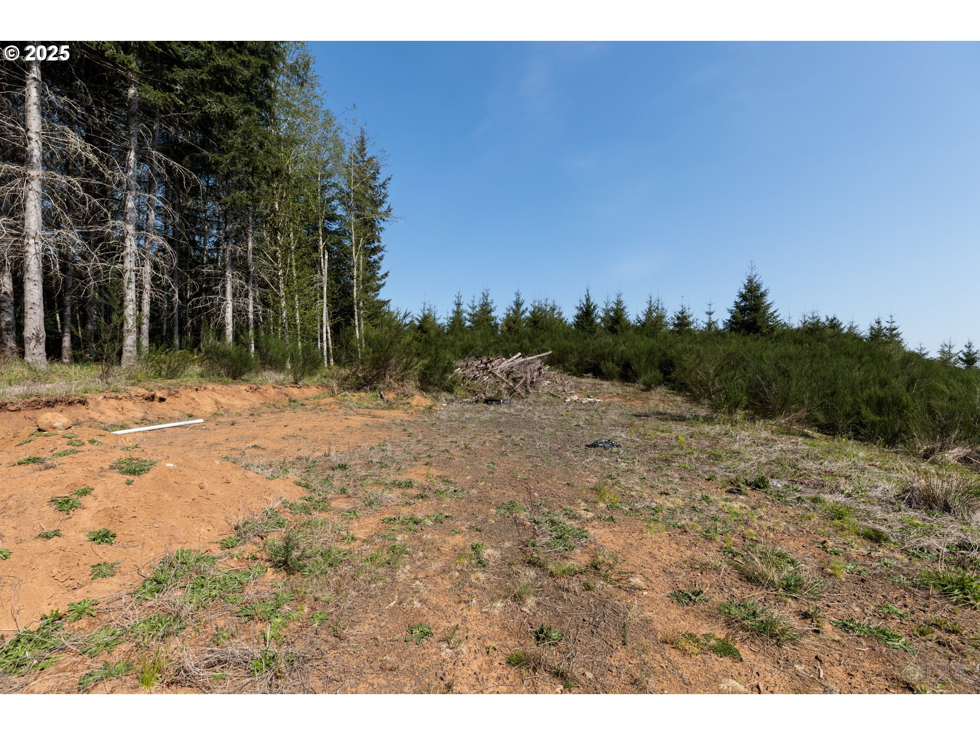 0 Conyers Creek Road Clatskanie, OR 97016 - Photo 5 of 13 a view of a dry yard with trees in the background