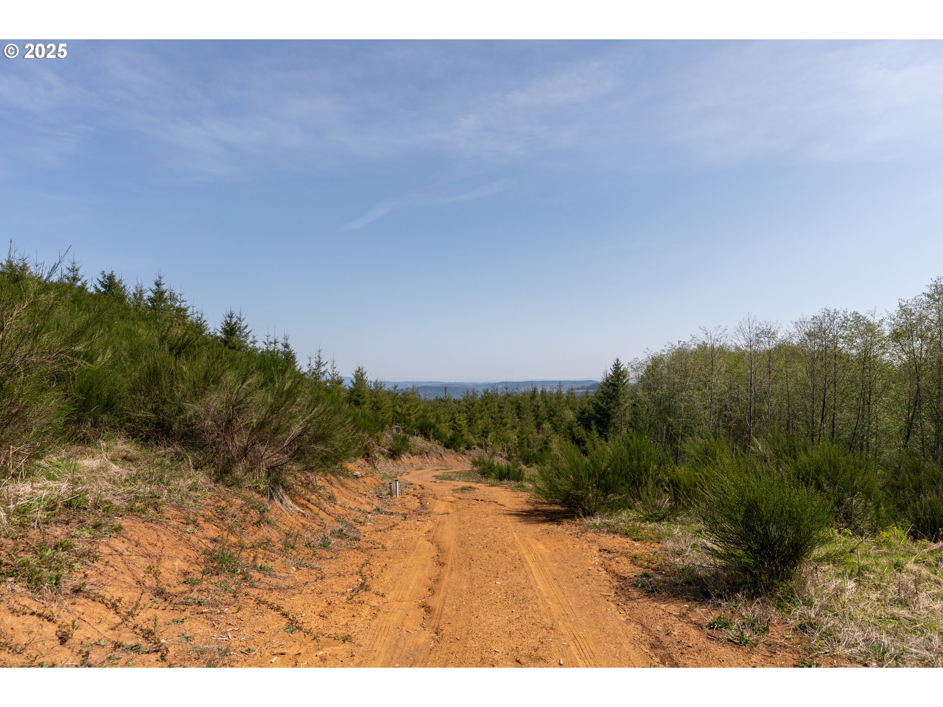 0 Conyers Creek Road Clatskanie, OR 97016 - Photo 10 of 13 a view of outdoor space and yard