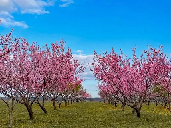 a view of a lake with houses in the back