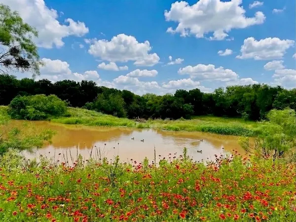 a backyard of a building with large trees