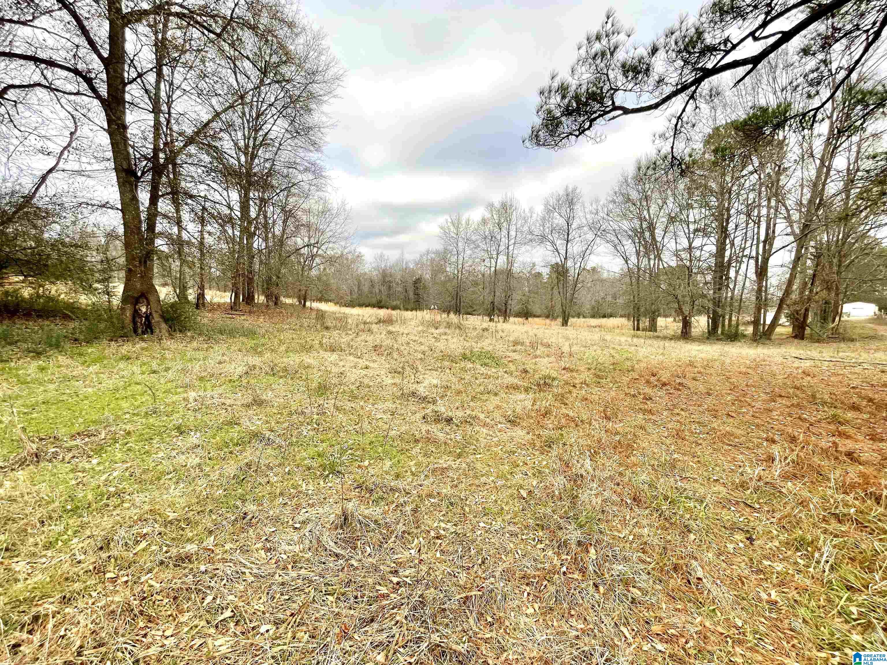 0 Parker Road Cropwell, AL 35054 - Photo 1 of 6