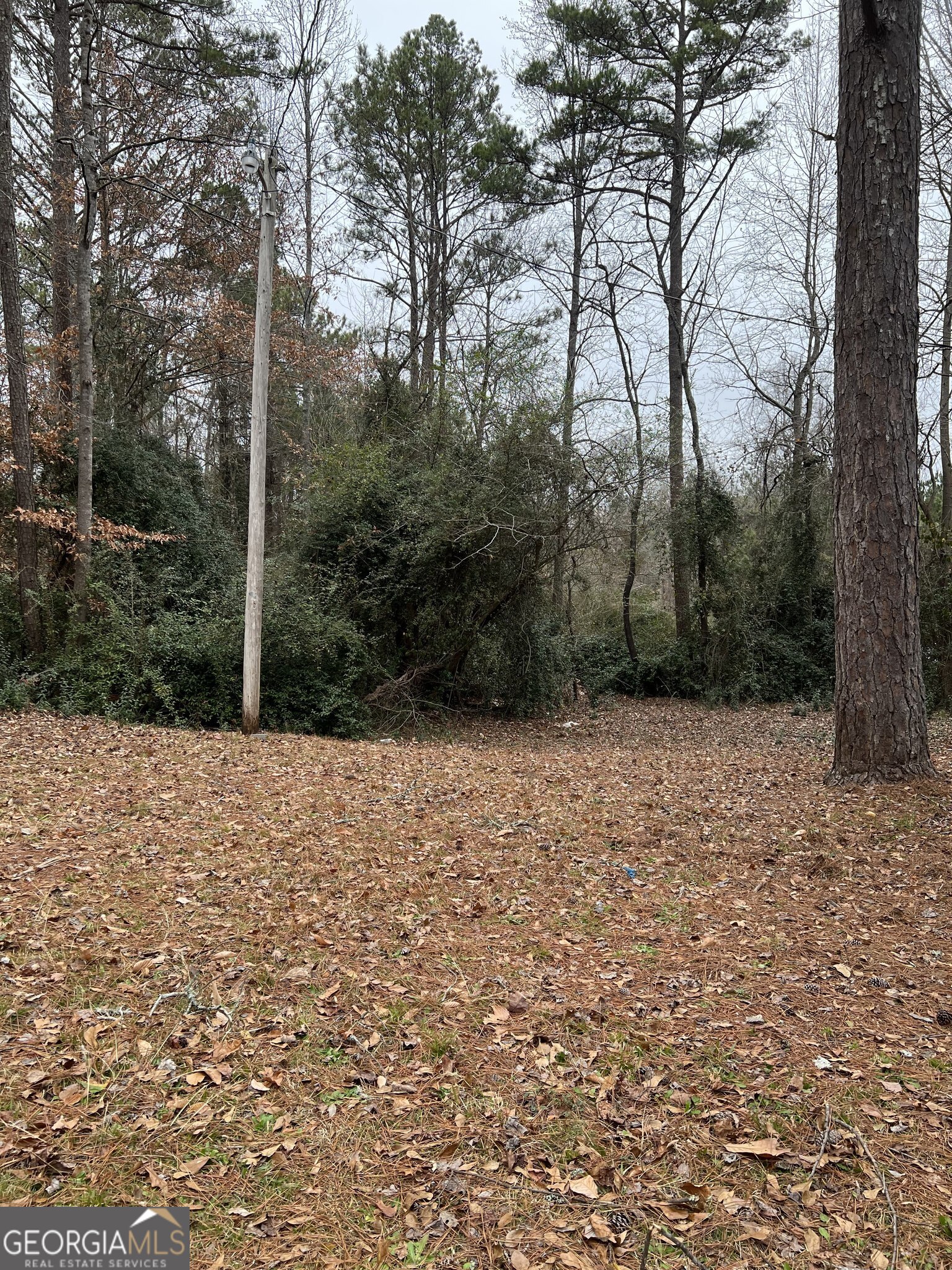 1993 Smokey Road Newnan, GA 30263 - Photo 14 of 14