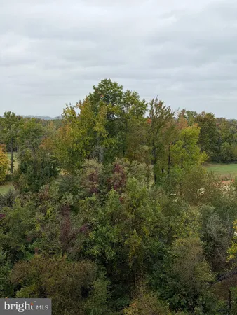 an aerial view of houses covered in trees