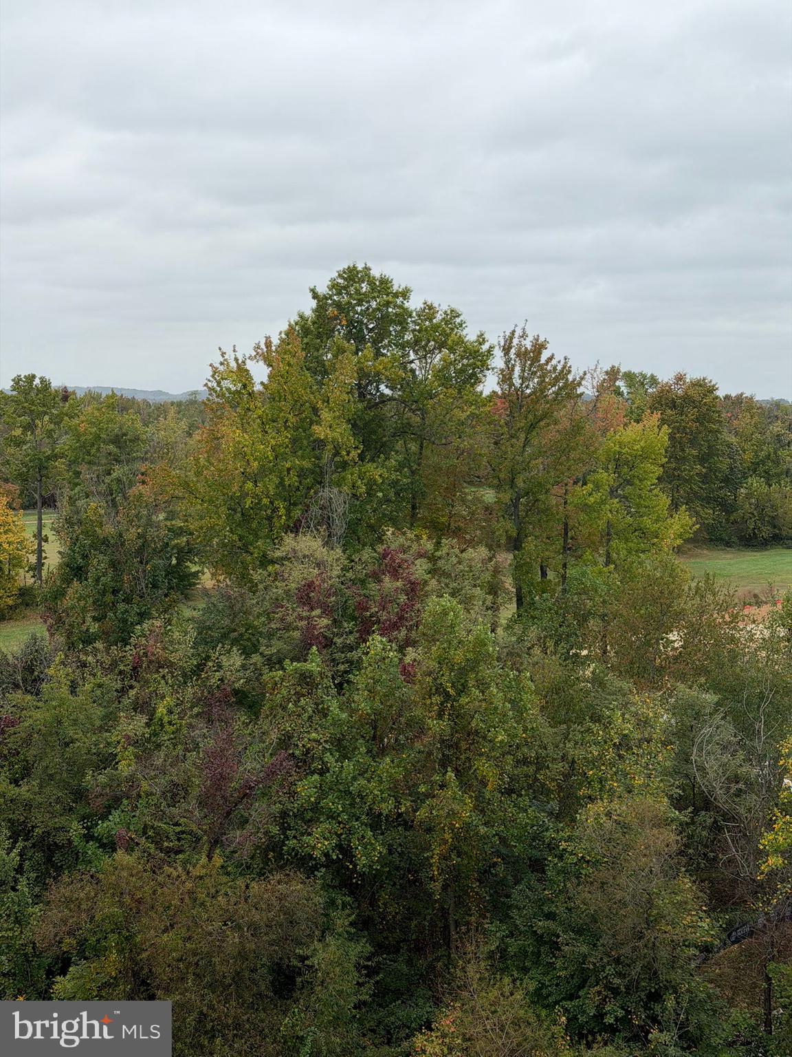 485 Harbor Side Street Woodbridge, VA 22191 - Photo 25 of 28 an aerial view of houses covered in trees