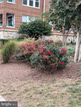 a view of a flower garden in front of a house