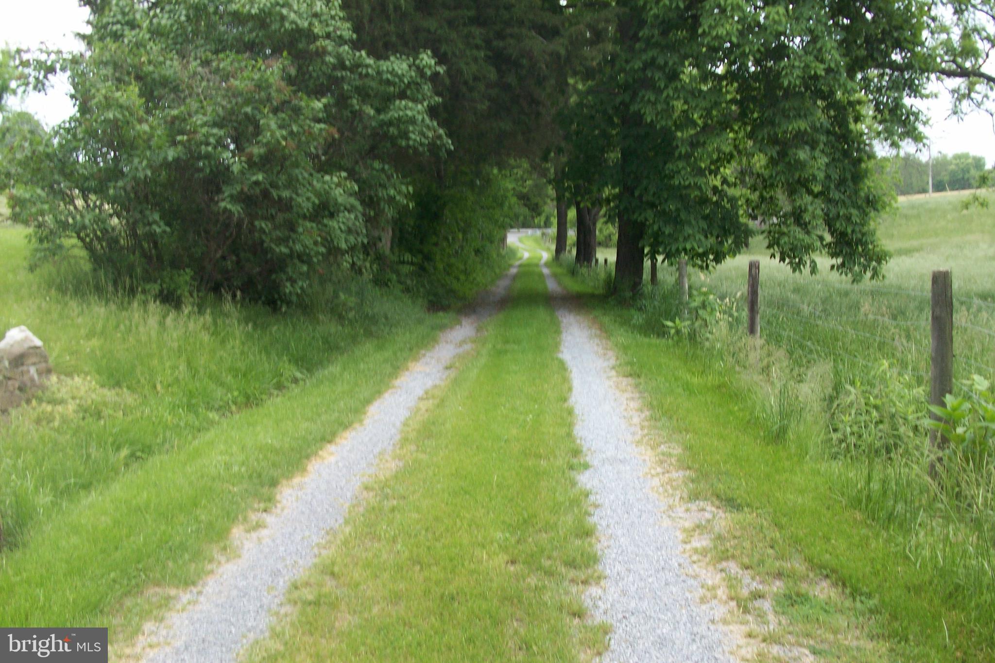 11039 Rocky Ridge Road Keymar, MD 21757 - Photo 3 of 6 Stoned drive lane