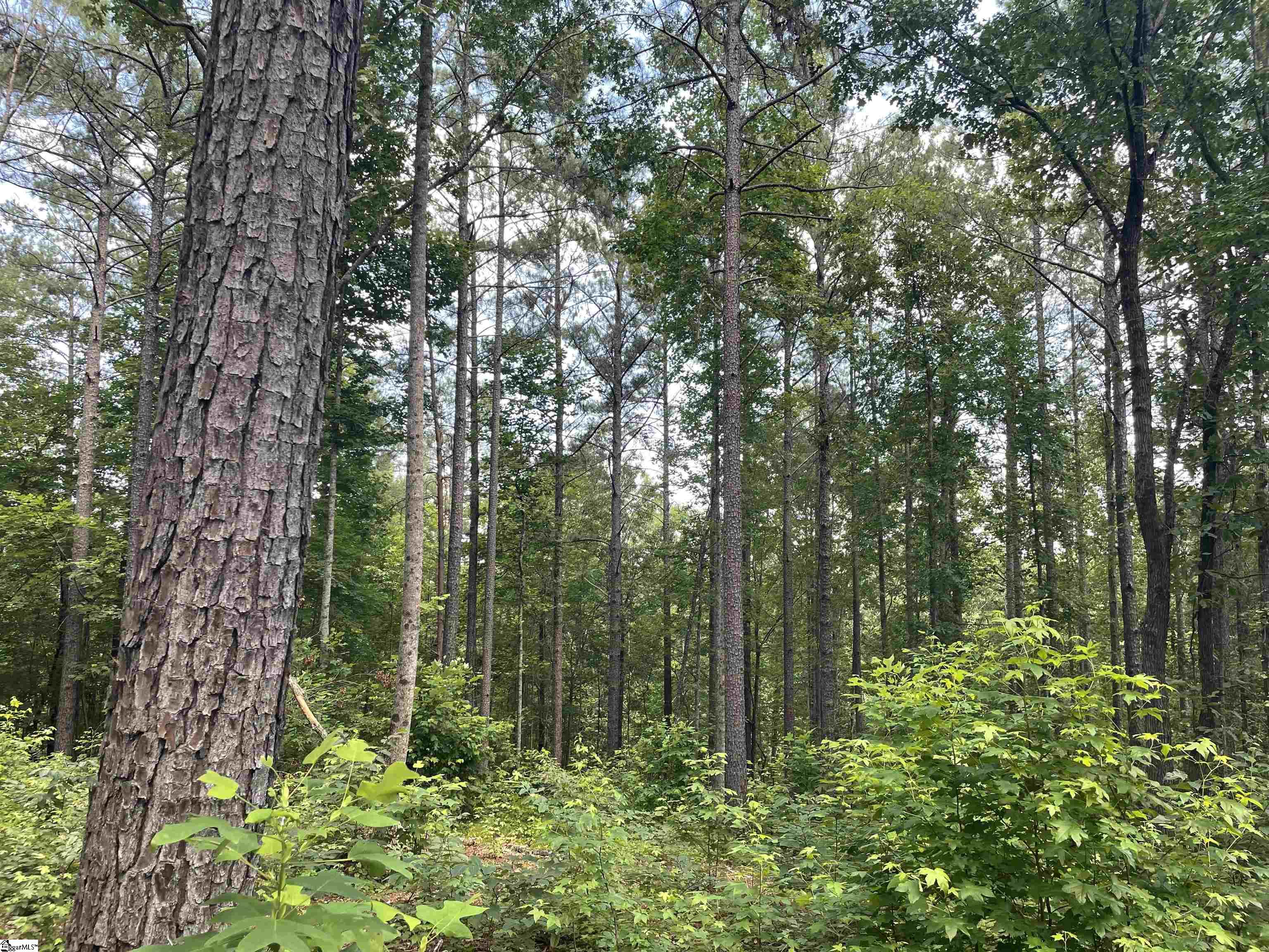 0 Nimmons Bridge Road Salem, SC 29676 - Photo 6 of 27
