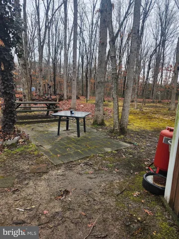 a view of a park with large trees