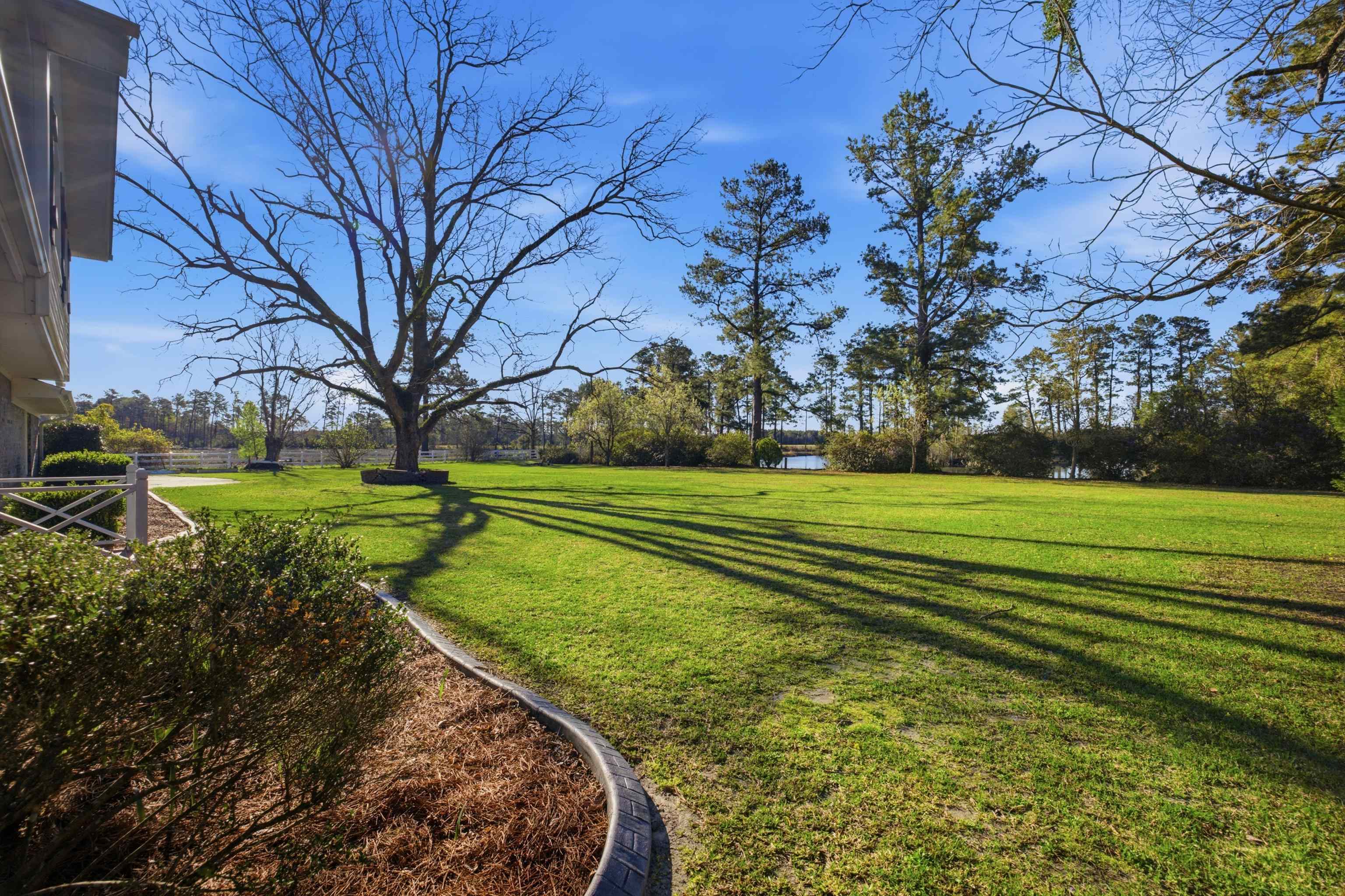 1468 Azalea Drive Galivants Ferry, SC 29544 - Photo 8 of 49