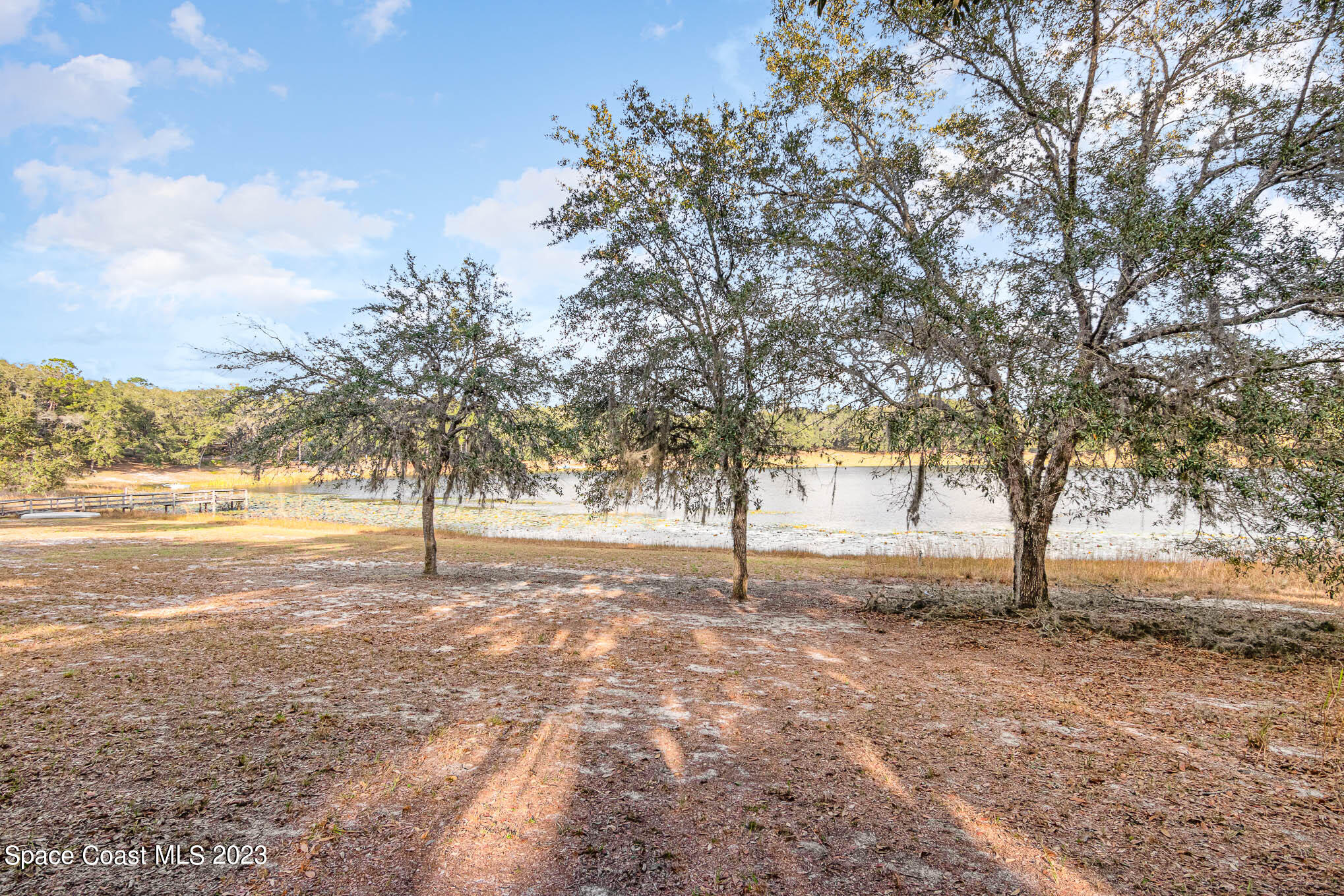 8203 Lake Echo Ridge Drive Melrose, FL 32666 - Photo 30 of 31 a view of a yard with trees