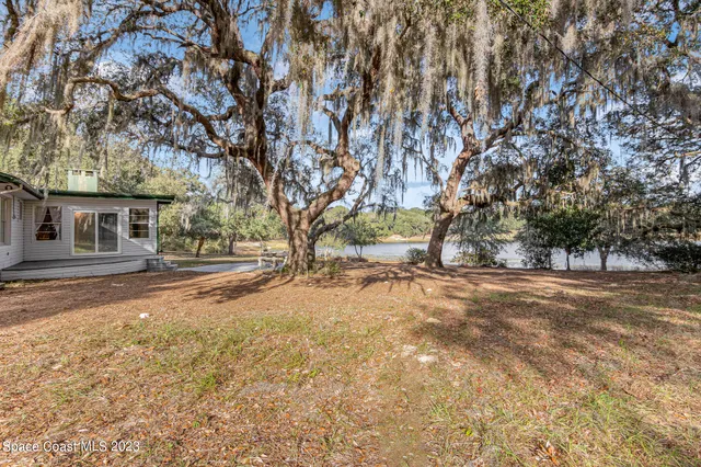 a view of a yard with plants and trees