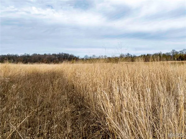 $1 | 0 Red Oak Road, High Hill, MO 63350