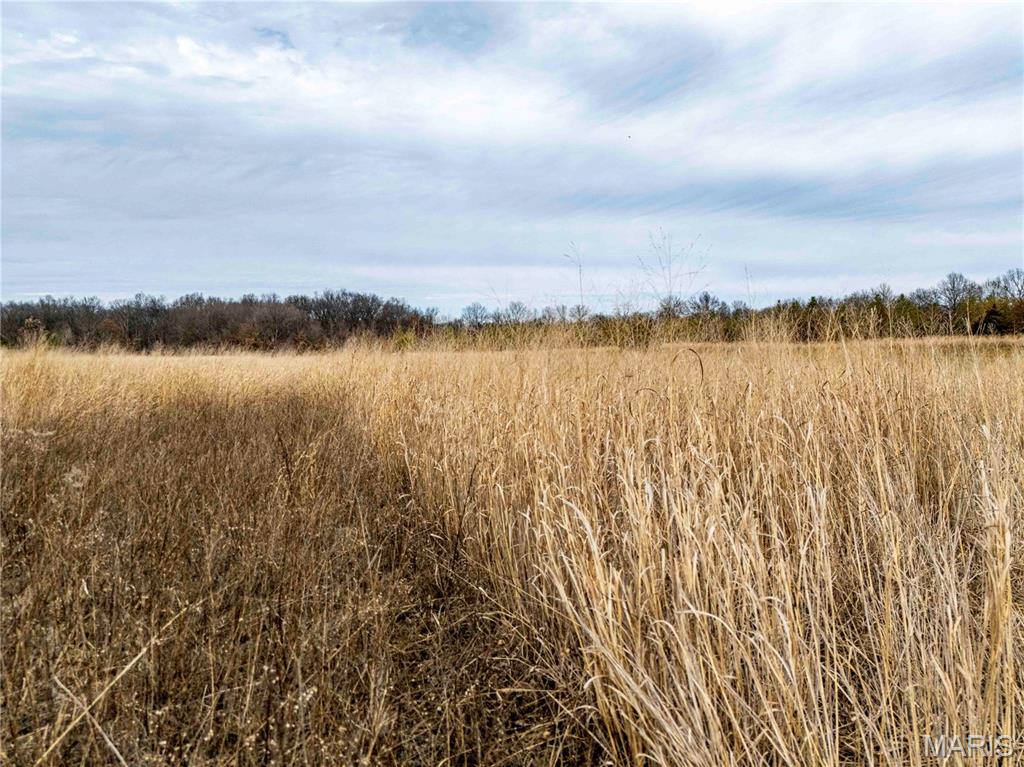 0 Red Oak Road High Hill, MO 63350 - Photo 15 of 33