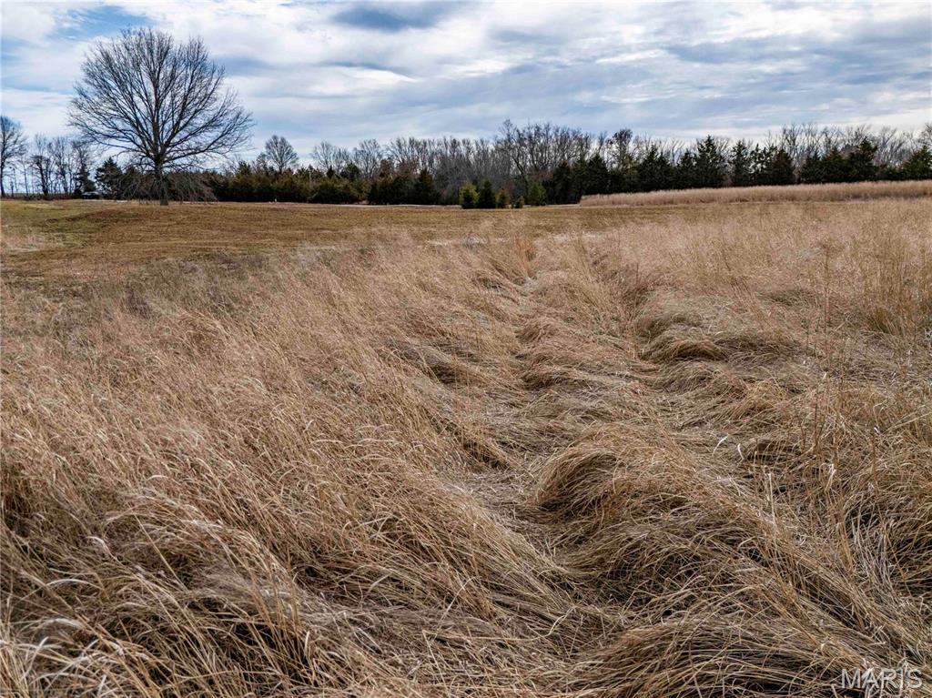 0 Red Oak Road High Hill, MO 63350 - Photo 16 of 33