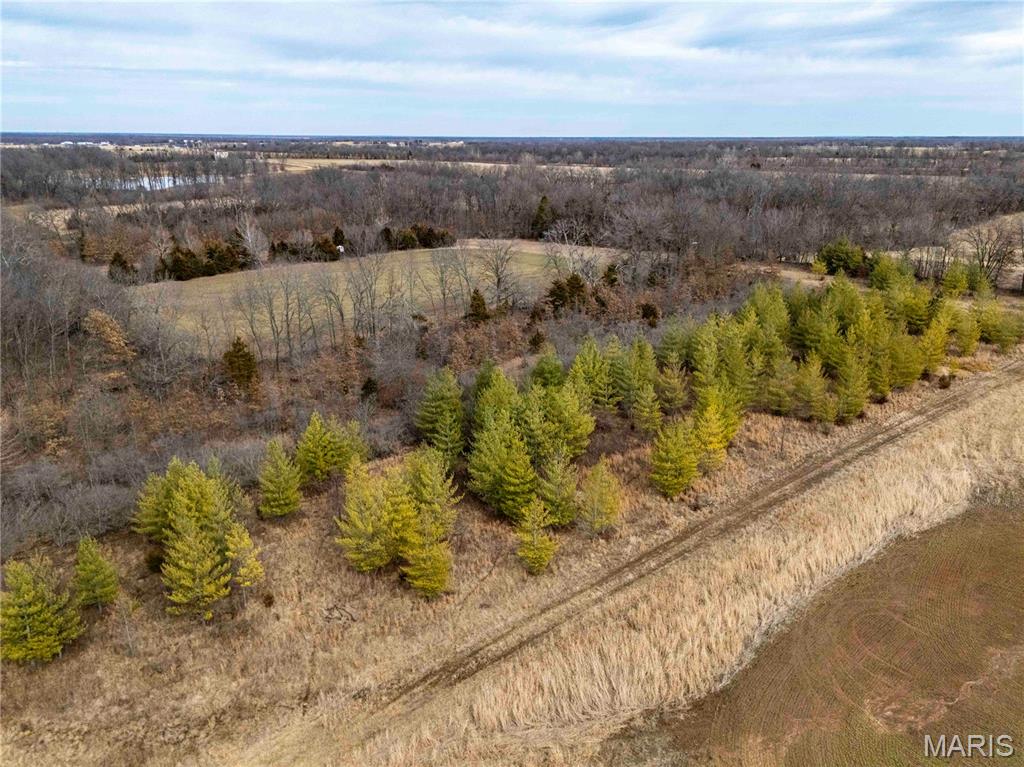 0 Red Oak Road High Hill, MO 63350 - Photo 18 of 33