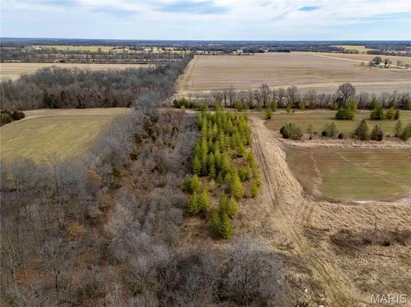 $1 | 0 Red Oak Road, High Hill, MO 63350