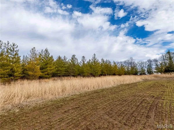 $1 | 0 Red Oak Road, High Hill, MO 63350