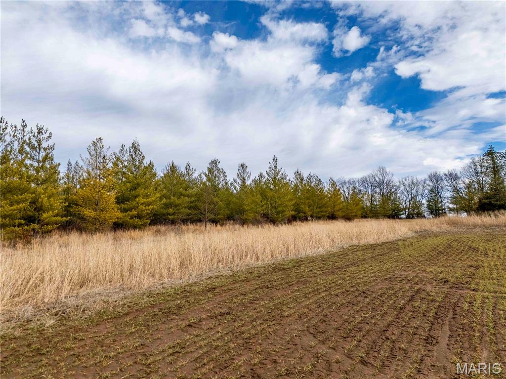 0 Red Oak Road High Hill, MO 63350 - Photo 22 of 33