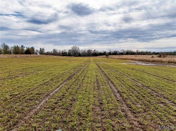 $1 | 0 Red Oak Road, High Hill, MO 63350