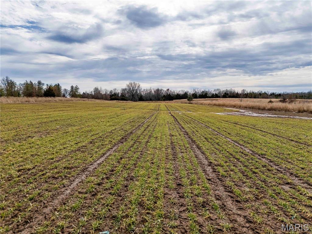 0 Red Oak Road High Hill, MO 63350 - Photo 27 of 33