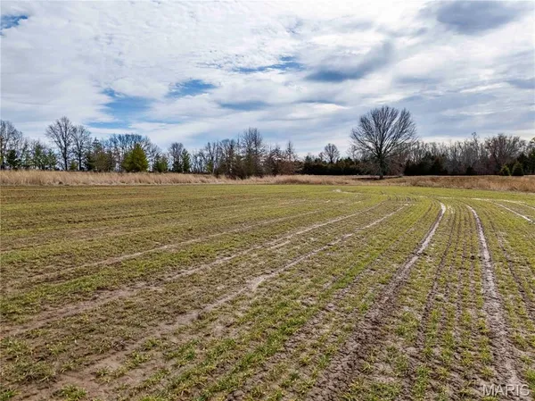 $1 | 0 Red Oak Road, High Hill, MO 63350