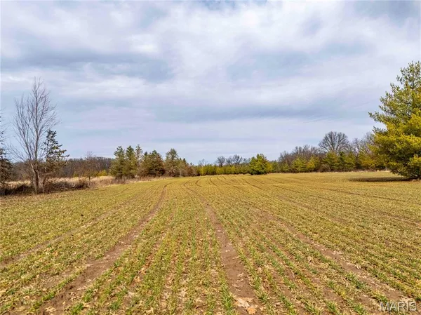 $1 | 0 Red Oak Road, High Hill, MO 63350