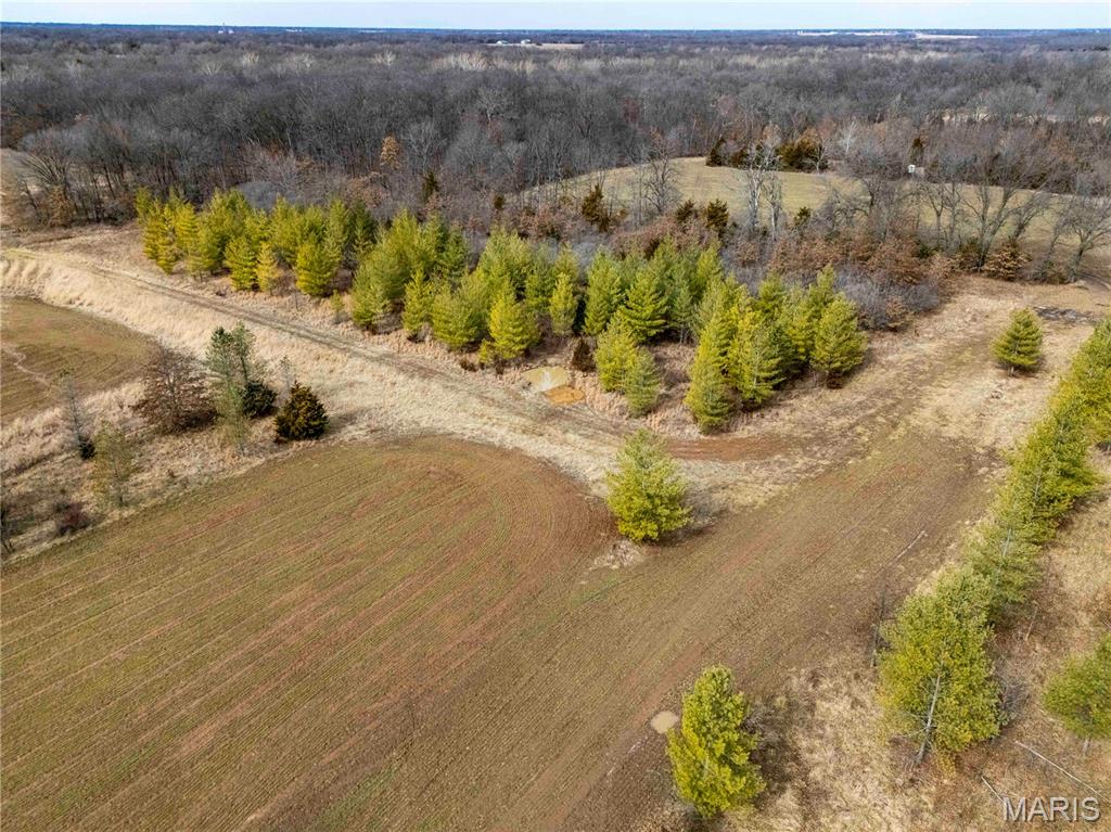 0 Red Oak Road High Hill, MO 63350 - Photo 31 of 33