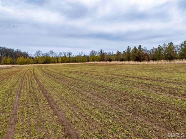 $1 | 0 Red Oak Road, High Hill, MO 63350