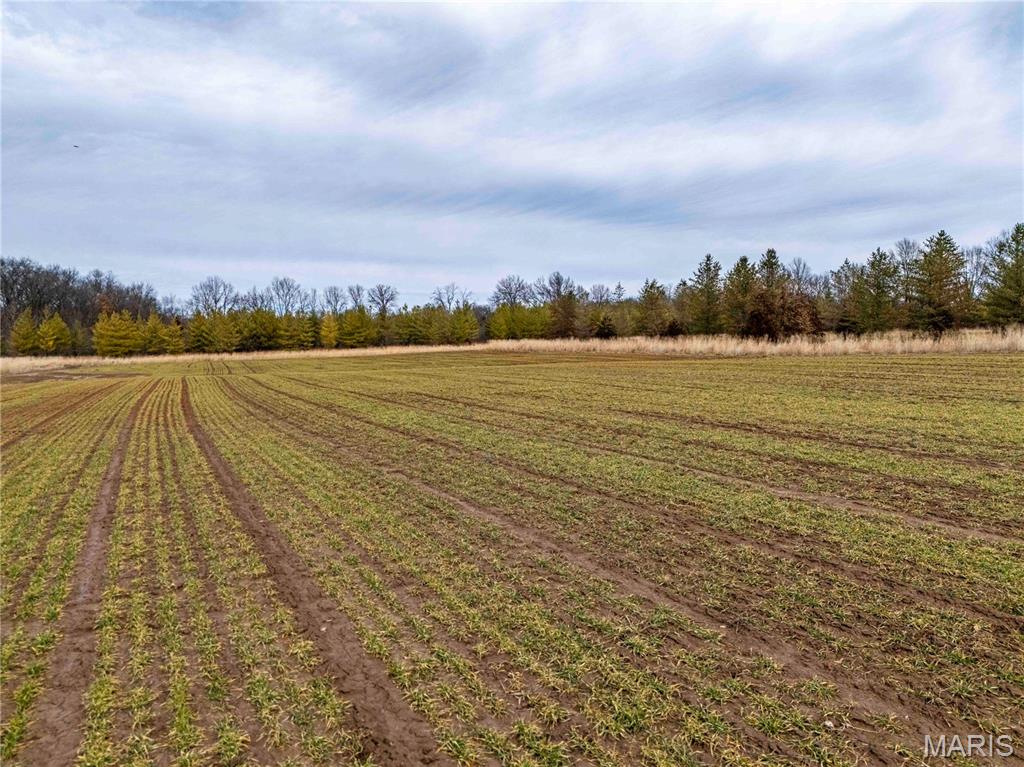 0 Red Oak Road High Hill, MO 63350 - Photo 32 of 33